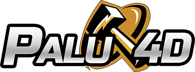 PALU4D Logo